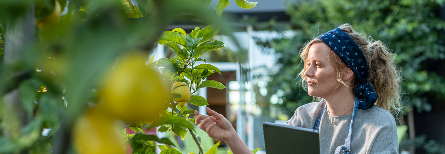 kvinna i växthus med citronträd